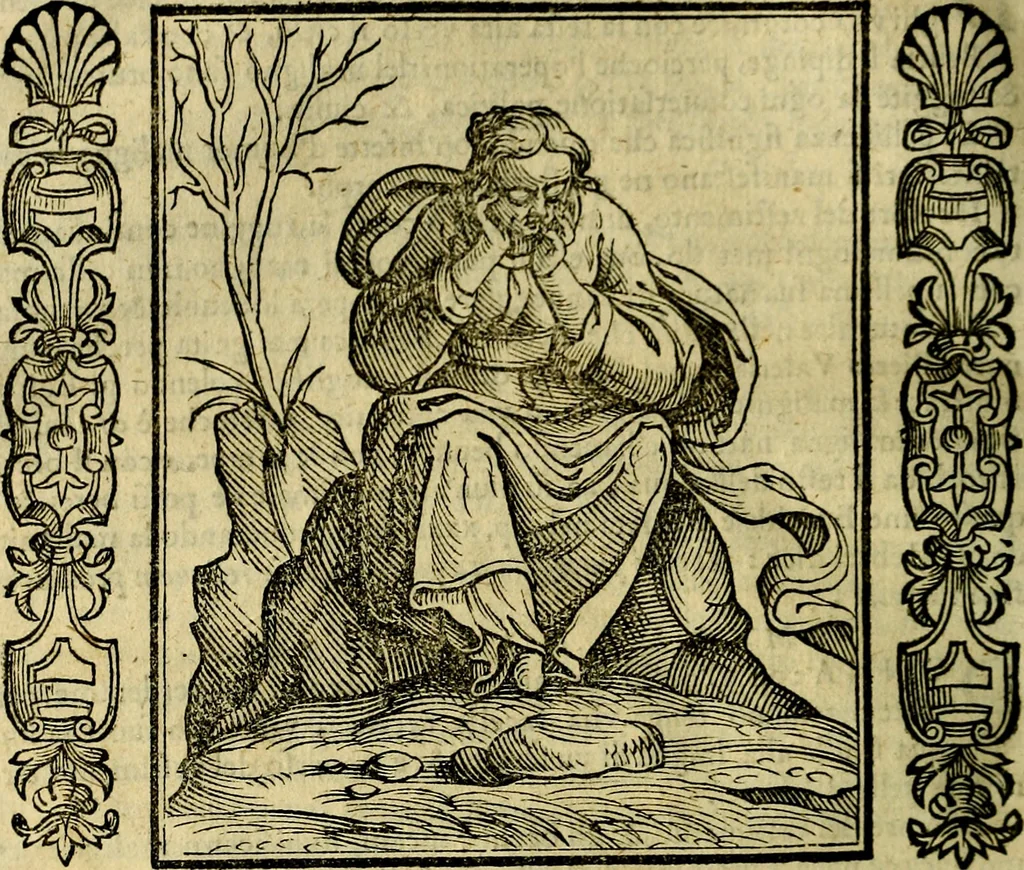 An illustration from Iconologia, overo, Descrittione d'imagini delle virtu', vitii, affetti, passioni humane, corpi celesti, mondo e sue parti, 1611, leaf 359