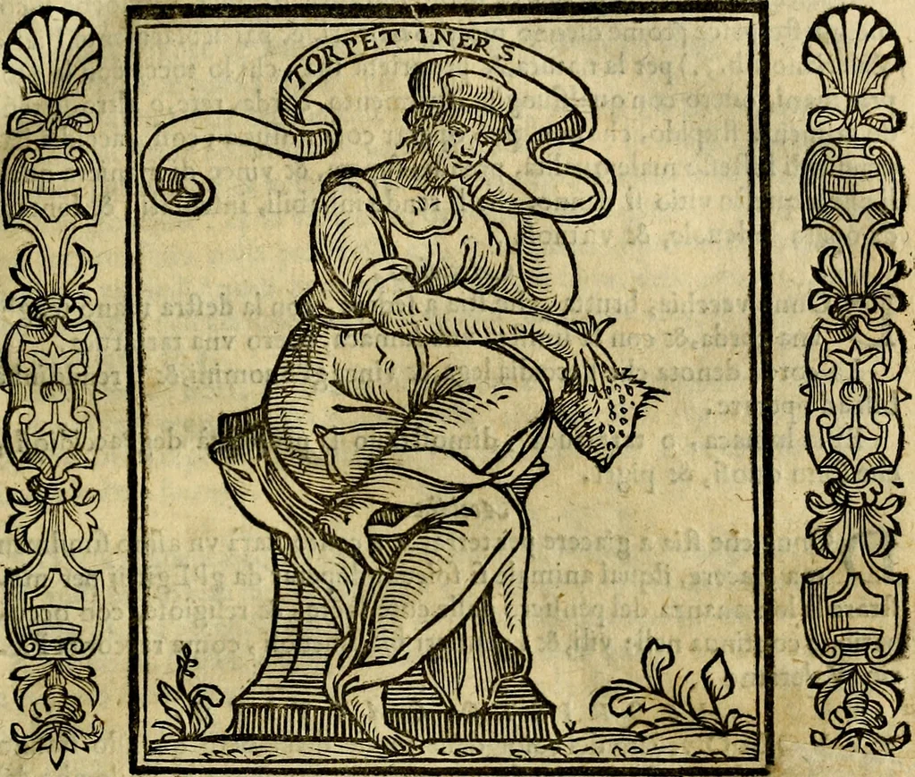 An illustration from Iconologia, overo, Descrittione d'imagini delle virtu', vitii, affetti, passioni humane, corpi celesti, mondo e sue parti, 1611, leaf 38