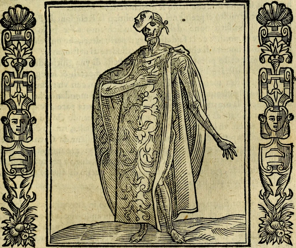An illustration from Iconologia, overo, Descrittione d'imagini delle virtu', vitii, affetti, passioni humane, corpi celesti, mondo e sue parti, 1611, leaf 394