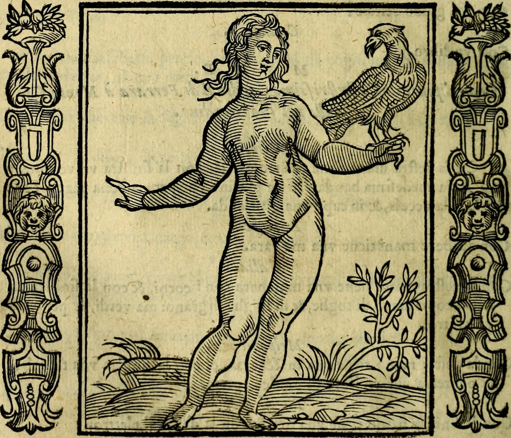 An illustration from Iconologia, overo, Descrittione d'imagini delle virtu', vitii, affetti, passioni humane, corpi celesti, mondo e sue parti, 1611, leaf 407