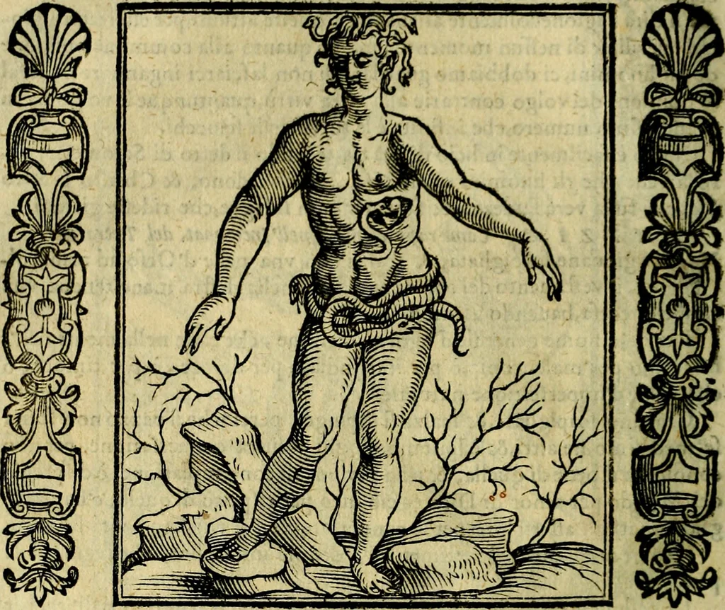 An illustration from Iconologia, overo, Descrittione d'imagini delle virtu', vitii, affetti, passioni humane, corpi celesti, mondo e sue parti, 1611, leaf 441