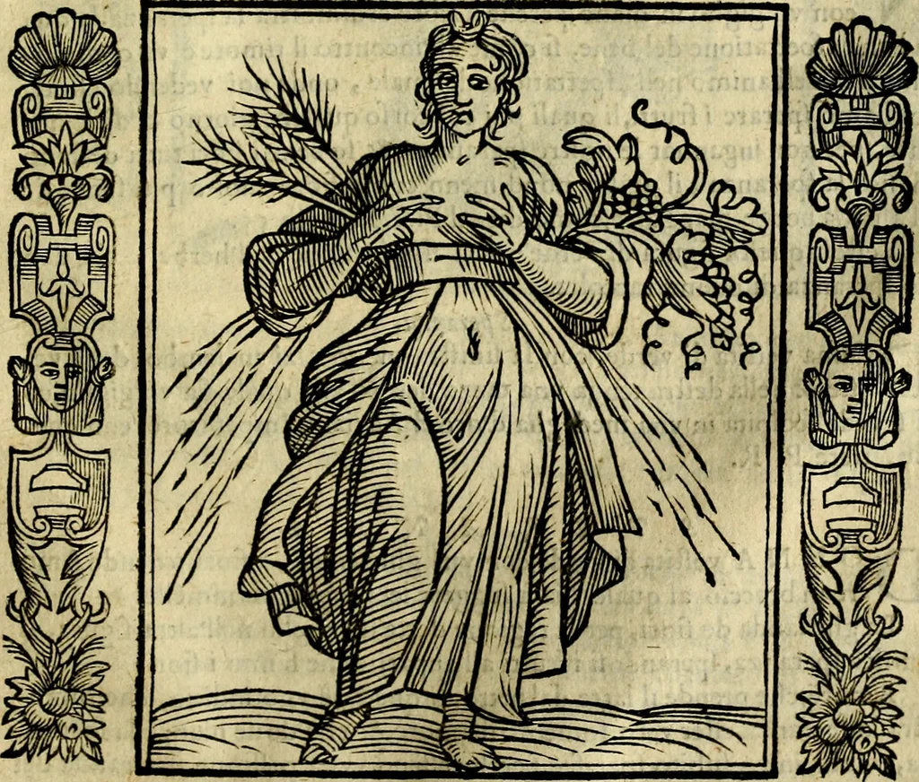 An illustration from Iconologia, overo, Descrittione d'imagini delle virtu', vitii, affetti, passioni humane, corpi celesti, mondo e sue parti, 1611, leaf 528