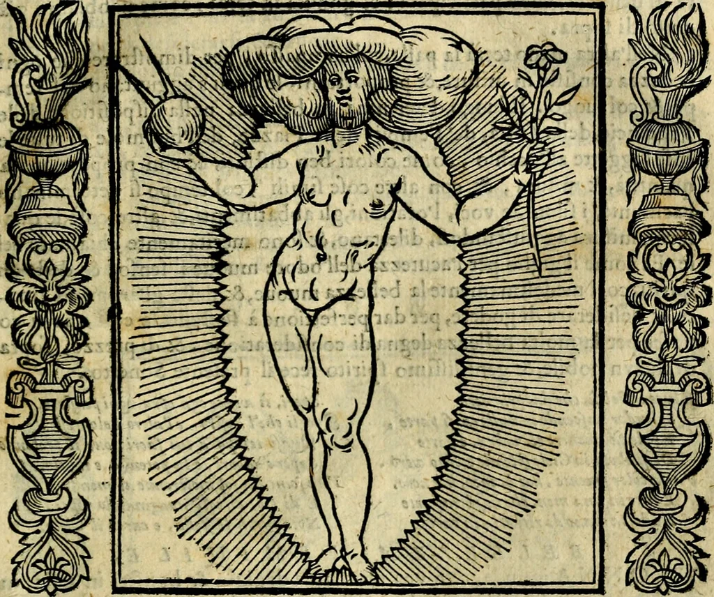 An illustration from Iconologia, overo, Descrittione d'imagini delle virtu', vitii, affetti, passioni humane, corpi celesti, mondo e sue parti, 1611, leaf 82