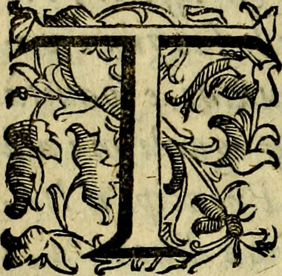An illustration from Iconologia, overo, Descrittione d'imagini delle virtu', vitii, affetti, passioni humane, corpi celesti, mondo e sue parti, 1611, leaf 9