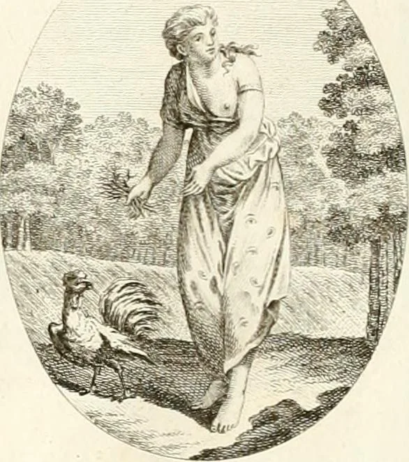 An illustration from Iconologie für Dichter, Künstler und Kunstliebhaber, 1807, leaf 116