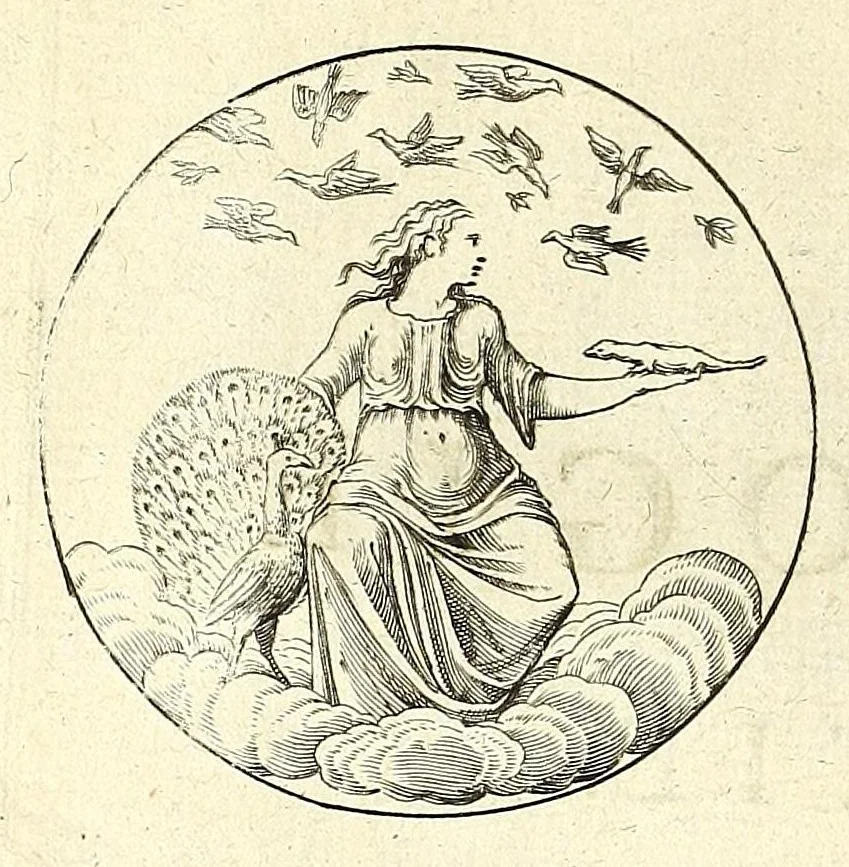 An illustration from Iconologie, ou Nouvelle explication de plusieurs images, emblemes, & autres figures hyerogliphiques des vertus, des vices, des arts, des sciences, des causes naturelles, des humeurs differentes, des passions humaines, &c. Divisée en deux parties, 1677, leaf 288