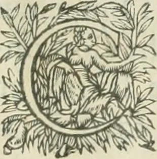 An illustration from Iconologie, ov, explication novvelle : de plvsievrs images, emblemes, et avtres figvres hyerogliphiques des vertus, des vices, des arts, des sciences, des causes naturelles, des humeurs differentes, & des passions humaines : oevvre necessaire a tovte sorte d'esprits, et particvlierement a cevx qvi aspirent ..., 1636, leaf 130