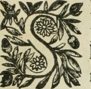 An illustration from Iconologie, ov, explication novvelle : de plvsievrs images, emblemes, et avtres figvres hyerogliphiques des vertus, des vices, des arts, des sciences, des causes naturelles, des humeurs differentes, & des passions humaines : oevvre necessaire a tovte sorte d'esprits, et particvlierement a cevx qvi aspirent ..., 1636, leaf 134