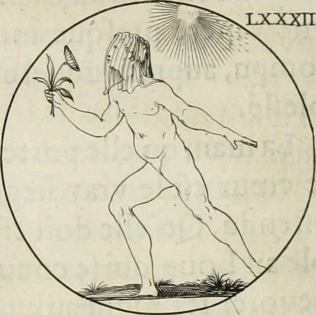 An illustration from Iconologie, ov, explication novvelle : de plvsievrs images, emblemes, et avtres figvres hyerogliphiques des vertus, des vices, des arts, des sciences, des causes naturelles, des humeurs differentes, & des passions humaines : oevvre necessaire a tovte sorte d'esprits, et particvlierement a cevx qvi aspirent ..., 1636, leaf 143