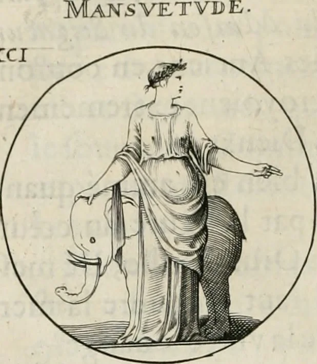 An illustration from Iconologie, ov, explication novvelle : de plvsievrs images, emblemes, et avtres figvres hyerogliphiques des vertus, des vices, des arts, des sciences, des causes naturelles, des humeurs differentes, & des passions humaines : oevvre necessaire a tovte sorte d'esprits, et particvlierement a cevx qvi aspirent ..., 1636, leaf 163