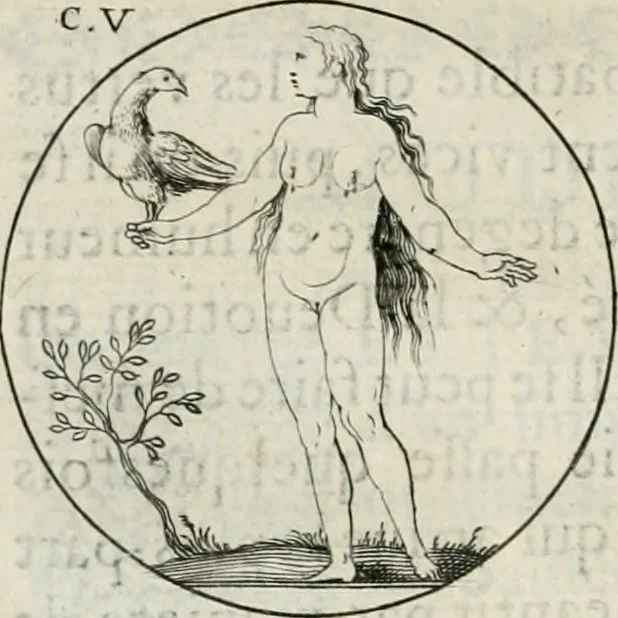 An illustration from Iconologie, ov, explication novvelle : de plvsievrs images, emblemes, et avtres figvres hyerogliphiques des vertus, des vices, des arts, des sciences, des causes naturelles, des humeurs differentes, & des passions humaines : oevvre necessaire a tovte sorte d'esprits, et particvlierement a cevx qvi aspirent ..., 1636, leaf 181