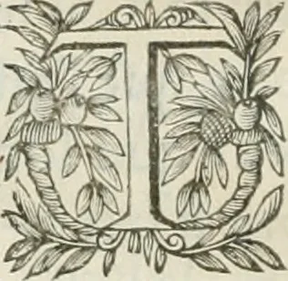 An illustration from Iconologie, ov, explication novvelle : de plvsievrs images, emblemes, et avtres figvres hyerogliphiques des vertus, des vices, des arts, des sciences, des causes naturelles, des humeurs differentes, & des passions humaines : oevvre necessaire a tovte sorte d'esprits, et particvlierement a cevx qvi aspirent ..., 1636, leaf 37