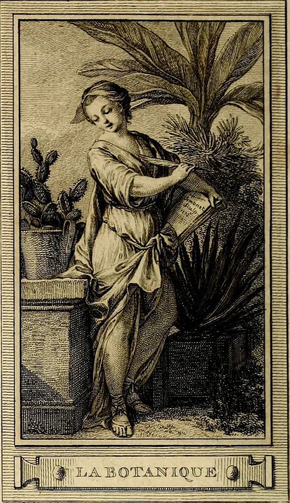 An illustration from Iconologie par figures; ou, Traité complet des allégories, emblêmes, etc. Ouvrage utile aux artistes, aux amateurs, et peuvent servir à l'éducation des jeunes personnes, 1791, leaf 121