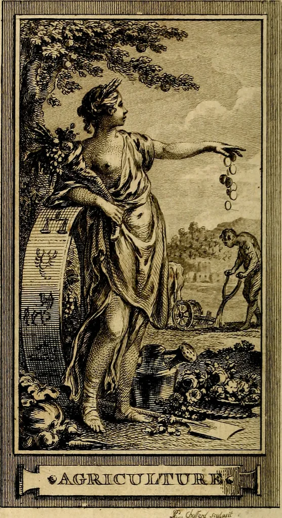 An illustration from Iconologie par figures; ou, Traité complet des allégories, emblêmes, etc. Ouvrage utile aux artistes, aux amateurs, et peuvent servir à l'éducation des jeunes personnes, 1791, leaf 53