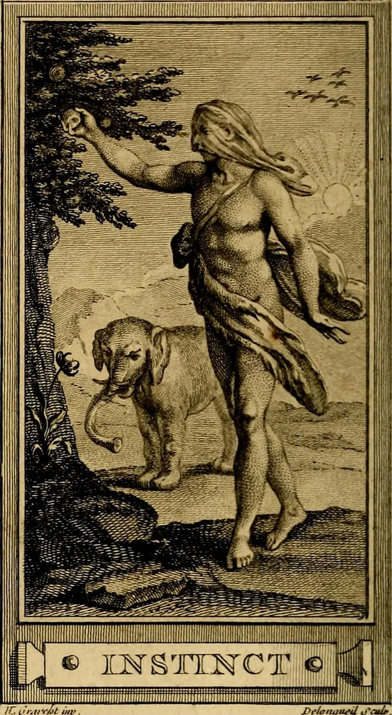 An illustration from Iconologie par figures; ou, Traité complet des allégories, emblêmes, etc. Ouvrage utile aux artistes, aux amateurs, et peuvent servir à l'éducation des jeunes personnes, 1791, leaf 39