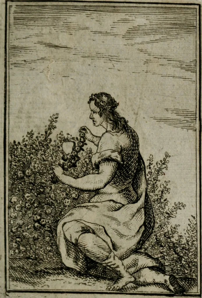 An illustration from Iconologie tirée de divers auteurs. Ouvrage utile aux gens de lettres, aux poëtes, aux artistes, & généralement à tous les amateurs des beaux-arts, 1766, leaf 138