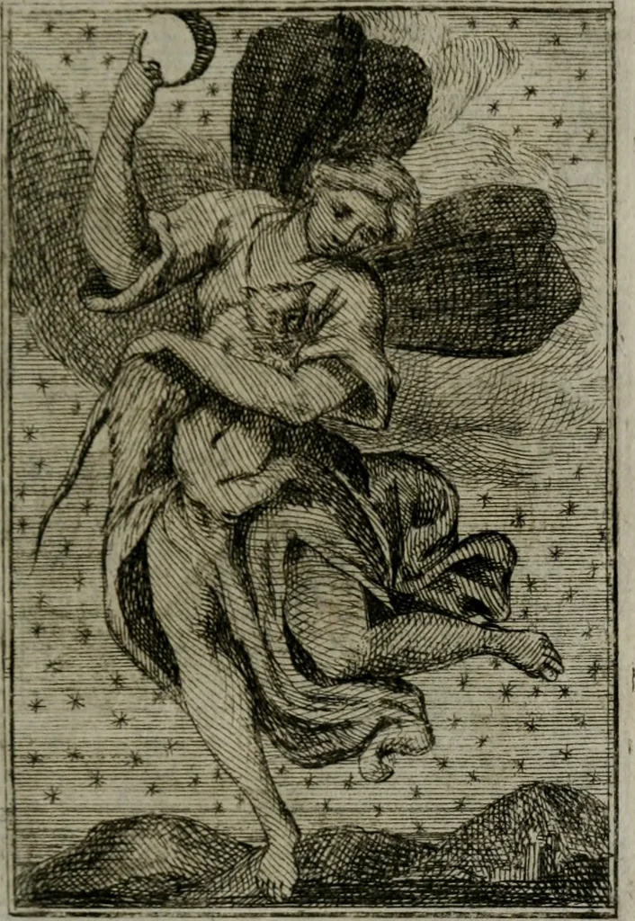 An illustration from Iconologie tirée de divers auteurs. Ouvrage utile aux gens de lettres, aux poëtes, aux artistes, & généralement à tous les amateurs des beaux-arts, 1766, leaf 312