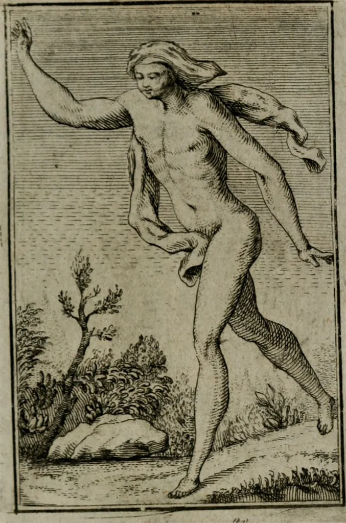 An illustration from Iconologie tirée de divers auteurs. Ouvrage utile aux gens de lettres, aux poëtes, aux artistes, & généralement à tous les amateurs des beaux-arts, 1766, leaf 364