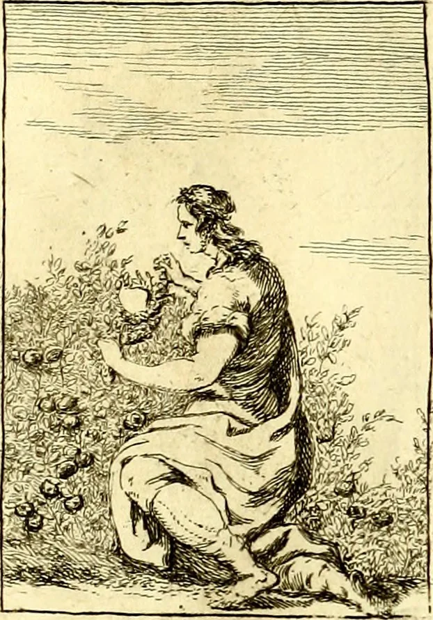 An illustration from Iconologie tirée de divers auteurs : ouvrage utile aux gens de lettres, aux poëtes, aux artistes, & généralement à tous les amateurs des beaux arts, 1759, leaf 146