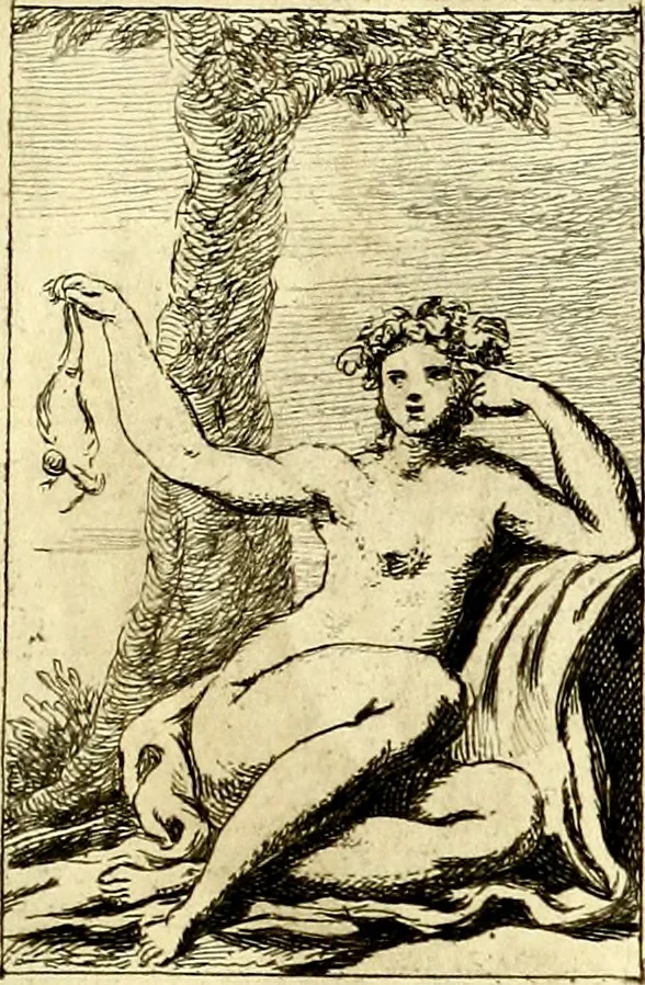 An illustration from Iconologie tirée de divers auteurs : ouvrage utile aux gens de lettres, aux poëtes, aux artistes, & généralement à tous les amateurs des beaux arts, 1759, leaf 164