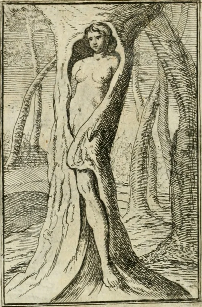 An illustration from Iconologie, tirée de divers auteurs : ouvrage utile aux gens de lettres, aux poëtes, aux artistes, & généralement à tous les amateurs des beaux-arts, 1766, leaf 19