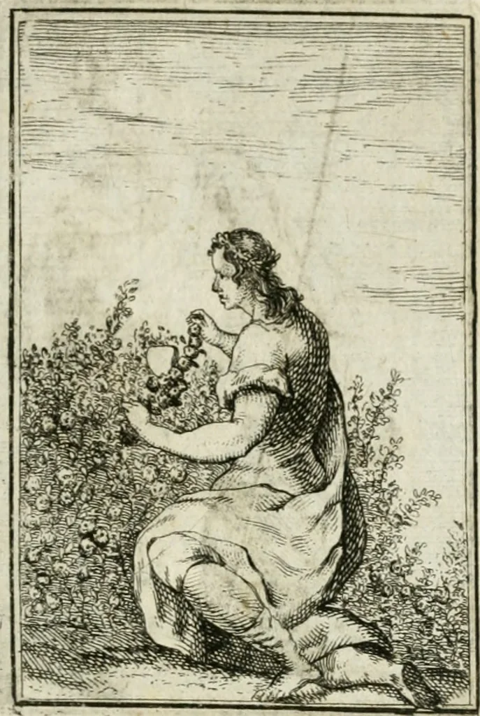 An illustration from Iconologie, tirée de divers auteurs : ouvrage utile aux gens de lettres, aux poëtes, aux artistes, & généralement à tous les amateurs des beaux-arts, 1766, leaf 140