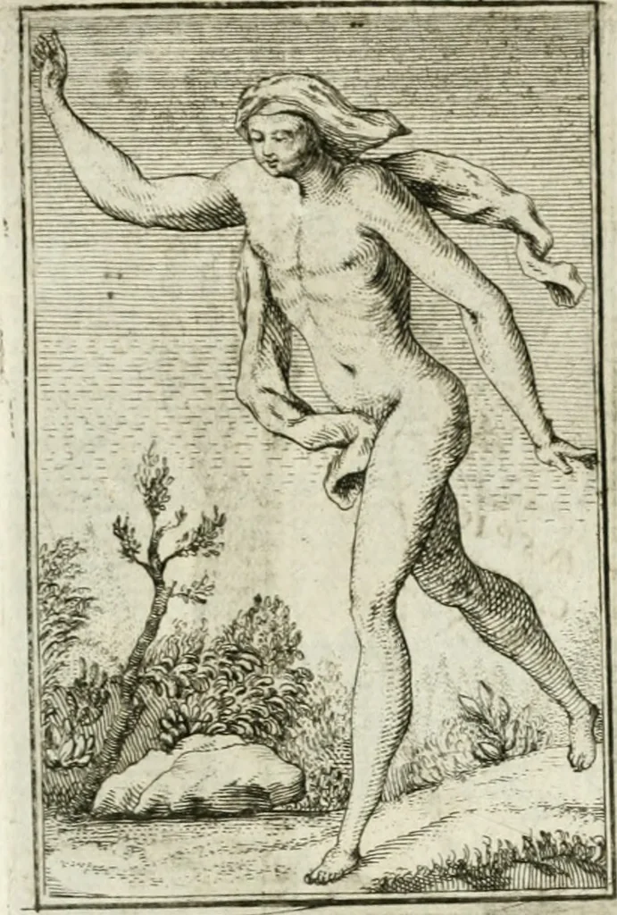 An illustration from Iconologie, tirée de divers auteurs : ouvrage utile aux gens de lettres, aux poëtes, aux artistes, & généralement à tous les amateurs des beaux-arts, 1766, leaf 136