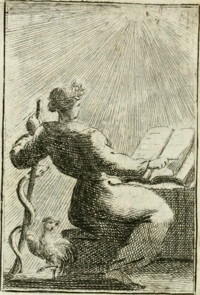 An illustration from Iconologie, tirée de divers auteurs : ouvrage utile aux gens de lettres, aux poëtes, aux artistes, & généralement à tous les amateurs des beaux-arts, 1766, leaf 181