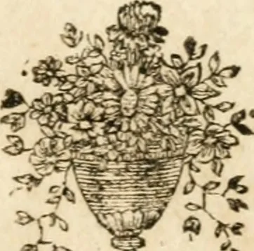 An illustration from Iconologie, tirée de divers auteurs : ouvrage utile aux gens de lettres, aux poëtes, aux artistes, & généralement à tous les amateurs des beaux-arts, 1766, leaf 232