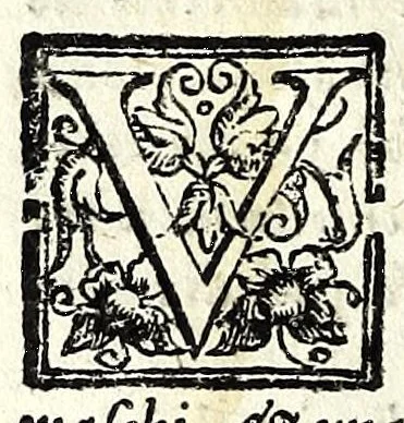 An illustration from I contenti : comedia, 1586, leaf 36