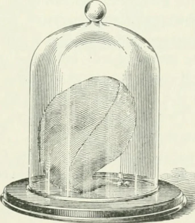 An illustration from I.C.S. reference library : a series of textbooks prepared for the students of the International Correspondence Schools and containing in permanent form the instruction papers examination questions, and keys used in their various courses, 1904, leaf 314