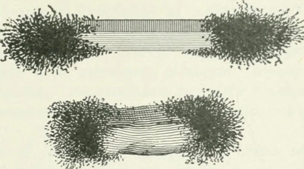 An illustration from I.C.S. reference library : a series of textbooks prepared for the students of the International Correspondence Schools and containing in permanent form the instruction papers examination questions, and keys used in their various courses, 1904, leaf 394