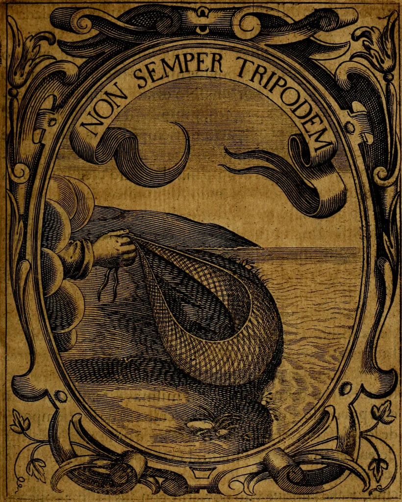 An illustration from Idea de un principe politico christiano, representada en cien empresas : dedicada al principe de las Españas nuestro señor, 1655, leaf 230
