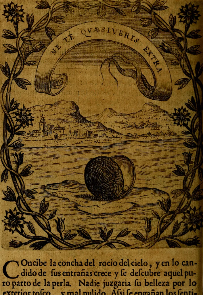 An illustration from Idea de un principe politico christiano, representada en cien empresas : dedicada al principe de las Españas nuestro señor, 1655, leaf 255