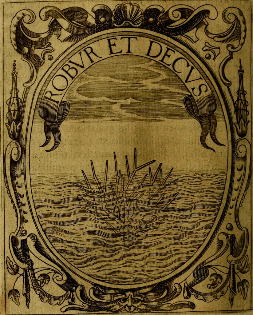 An illustration from Idea de un principe politico christiano, representada en cien empresas : dedicada al principe de las Españas nuestro señor, 1655, leaf 41