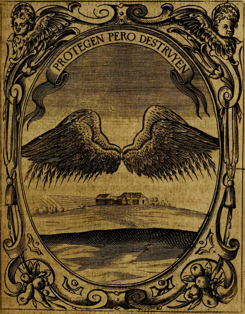 An illustration from Idea de un principe politico christiano, representada en cien empresas : dedicada al principe de las Españas nuestro señor, 1655, leaf 738