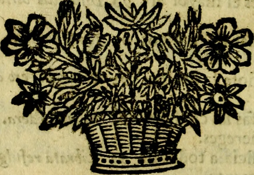 An illustration from Idea de vn principe politico christiano : representada en cien empressas. Va enmendada en esta sexta impression de todos los yerros que avia en las otras ..., 1675, leaf 17