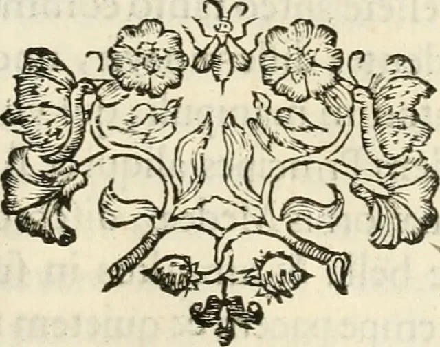 An illustration from Idea principis christiano-politici, centum symbolis expressa, 1649, leaf 578