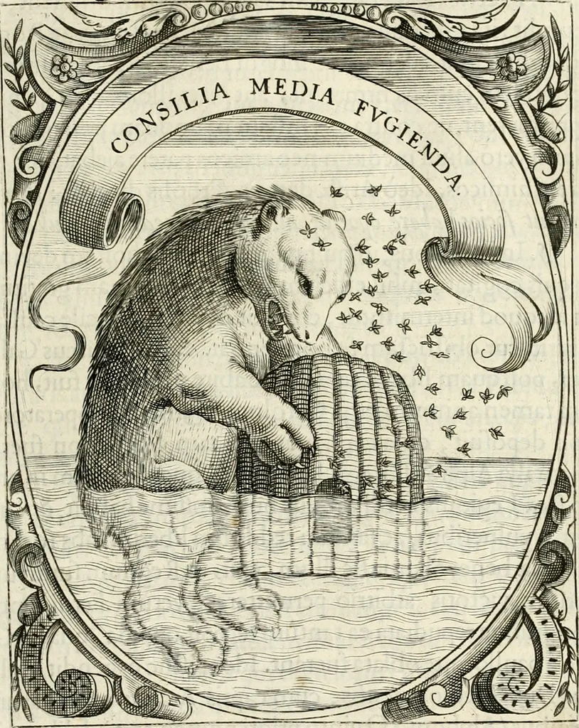 An illustration from Idea principis christiano-politici, centum symbolis expressa, 1649, leaf 638