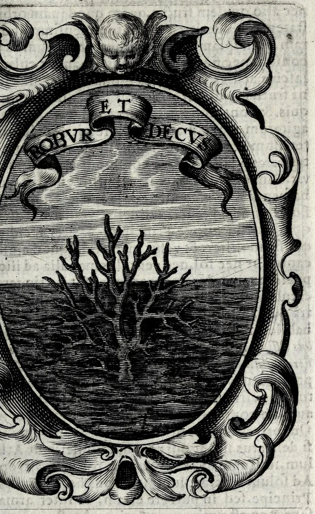 An illustration from Idea principis christiano-politici : 101 sijmbolis expressa, 1651, leaf 51