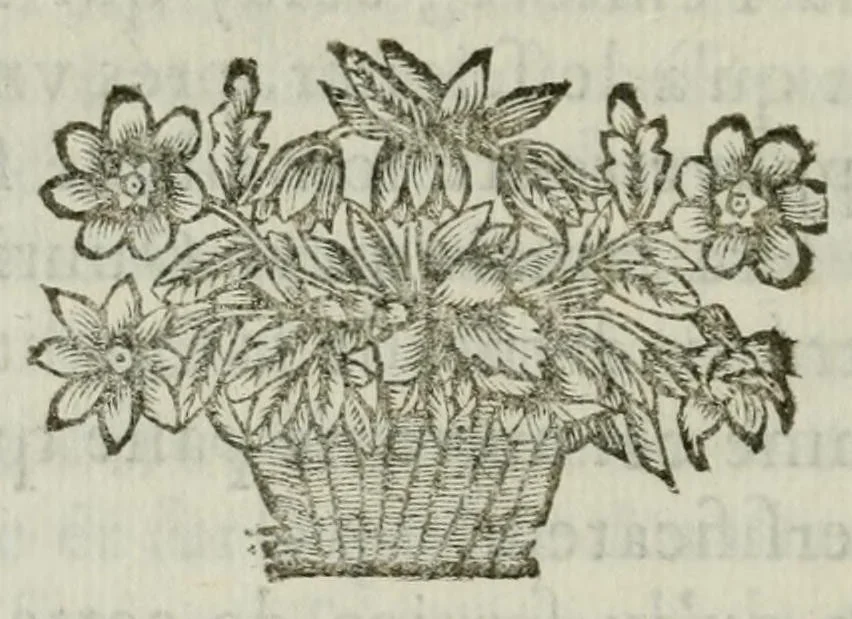 An illustration from Idée de la perfection de la peintvre demonstrée par les principes de l'art, et par des exemples conformes aux obseruations que Pline et Quintilien ont faites sur les plus célèbres tableaux des anciens peintres, mis en paralelle à quelques ouurages de nos meilleurs peintres modernes, Leonard de Vinci, Raphael, Iules Romain, et le Poussin, 1662, leaf 166