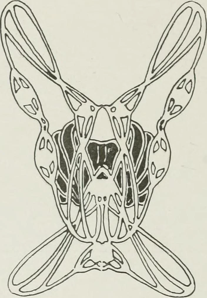 An illustration from Ideen, 1904, leaf 73