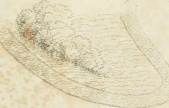 An illustration from Ideen-Magazin für Architecten, Künstler und Handwerker, 1832, leaf 48