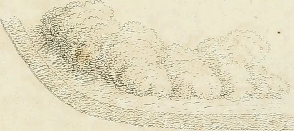 An illustration from Ideen-Magazin für Architecten, Künstler und Handwerker, 1832, leaf 48