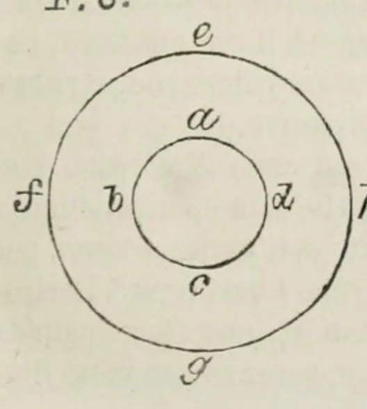 An illustration from I dialoghi di Galileo Galilei sui massimi sistemi tolemaico e copernicano : volume unico, 1874, leaf 417