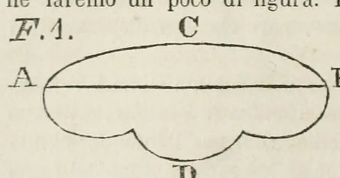 An illustration from I dialoghi di Galileo Galilei sui massimi sistemi tolemaico e copernicano : volume unico, 1874, leaf 62