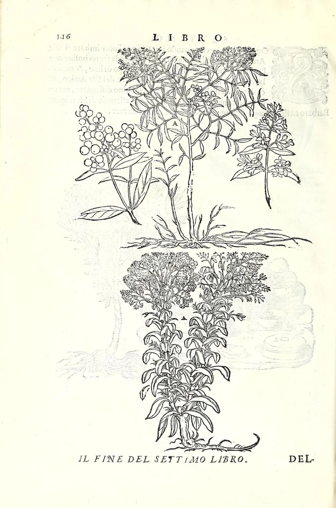 An illustration from I dieci libri d'architettvra, 1660, leaf 134