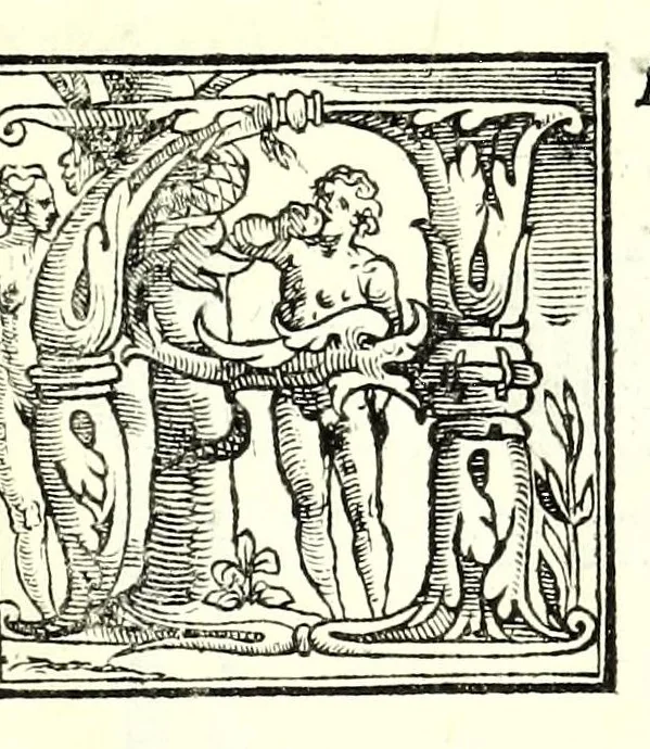 An illustration from I dieci libri d'architettvra, 1660, leaf 71