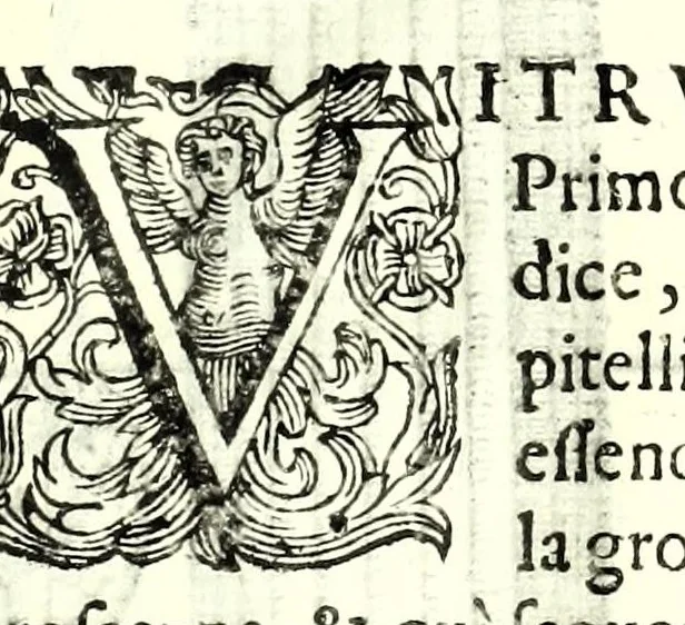 An illustration from I dieci libri d'architettvra, 1660, leaf 85