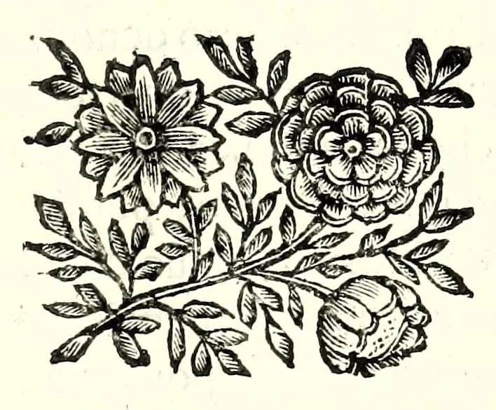 An illustration from I dieci libri d'architettvra, 1660, leaf 85